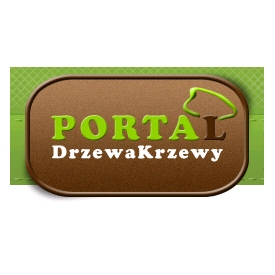 Drzewakrzewy.pl/
