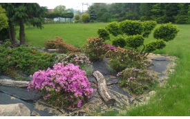 Specgarden