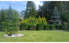 Specgarden