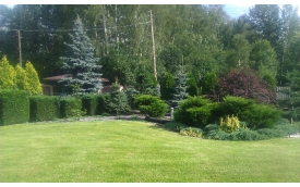 Specgarden