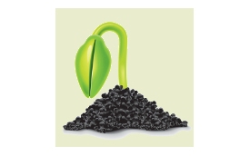 Elplant Hurtownia ogrodnicza