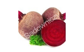 Sadowniczy.pl