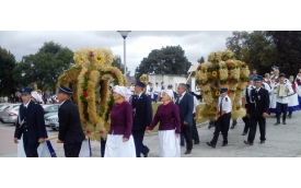 Sandomierski Ogrodniczy Rynek Hurtowy S.A