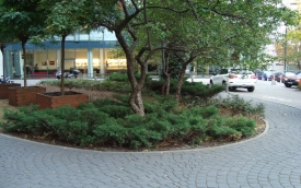A&M Partners