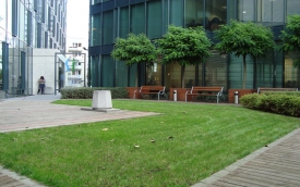 A&M Partners