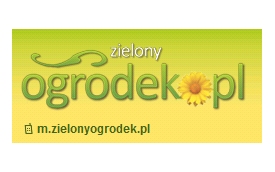 AVT Korporacja Sp.z o.o