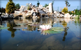 sklep.gardenplanet.pl