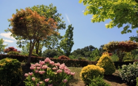 Sungarden