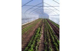 Krosagro