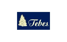 TEBES Zakład Produkcyjno-Handlowy
