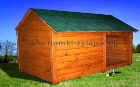 Zylajek