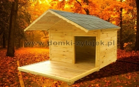 Zylajek