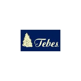 TEBES Zakład Produkcyjno-Handlowy